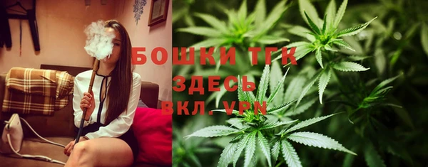 молекула духа Сатка