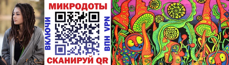 Галлюциногенные грибы Psilocybe  наркота  Вихоревка 